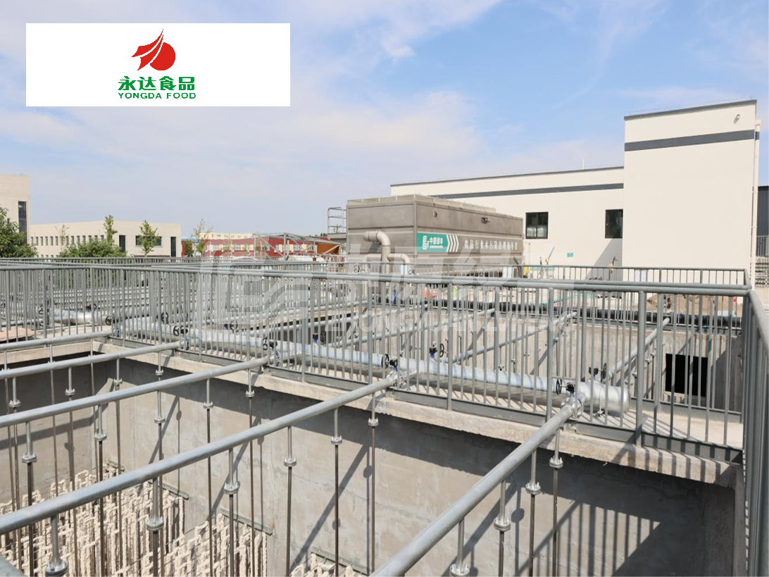 永达集团·淇县鸿磊项目2100m³/d调理品加工废水处理工程